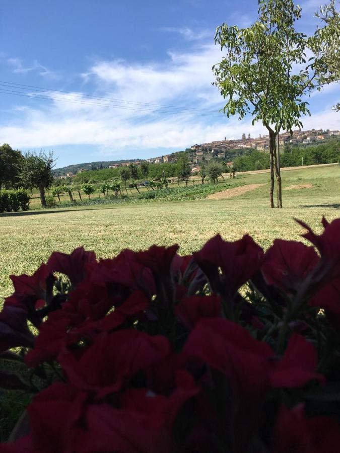 Hotel La Macine Monte San Savino Zewnętrze zdjęcie